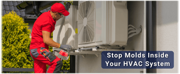 HVAC Mold Removal Warwick RI